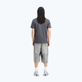 Alpha Industries Herren-T-Shirt Hawaii Vintage grau 3