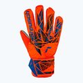 Reusch Attrakt Starter Grip Torwarthandschuh hyper orng/elec blau 2