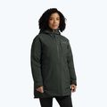 Damen Daunenjacke Jack Wolfskin Icecape 2L Down Ins Rds slate green