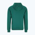 Herren Hoodie Sweatshirt FILA Lutheran Hoody aventurine 5