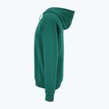 Herren Hoodie Sweatshirt FILA Lutheran Hoody aventurine 6