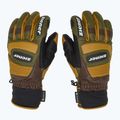 Skihandschuhe Herren ZIENER Guard GTX + Gore Grip PR alpine dark/brown 4