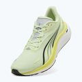 Herren Laufschuhe PUMA Electrify Nitro 4 green 10