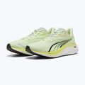 Herren Laufschuhe PUMA Electrify Nitro 4 green 11