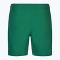 Herren Nike Essential 7" Volley bicoastal Badeshorts 2