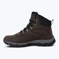 Herren-Trekkingschuhe REGATTA Holcombe peat 10