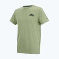 Herren-Trekkingshirt REGATTA Breezed light sage 7