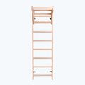 BenchK Bronze-Gymnastikleiter BK-111