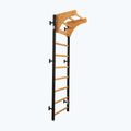 BenchK Gymnastikleiter schwarz BK-711B 2