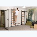 BenchK Gymnastikleiter schwarz BK-221B 15