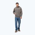 Herren-Sweatshirt Pitbull Sampson Hooded Sweatshirt taupe 2