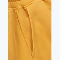 Hose Herren Pitbull Lancaster 2 Track Pants washed yellow 10