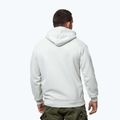 Herren Hoodie Pitbull Orlando Hooded white stone 3
