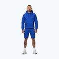 Herrenpullover Pitbull Dogwood Hooded Sweatshirt imperial blue 2