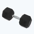 Kurzhanteln XTREXO Hex HXD200 20 kg