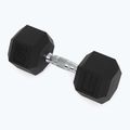 Kurzhanteln XTREXO Hex HXD150 15 kg