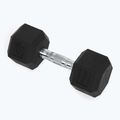 Kurzhanteln XTREXO Hex HXD100 10 kg