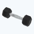 Kurzhanteln XTREXO Hex HXD25 2.5 kg