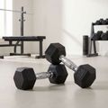 Kurzhanteln XTREXO Hex HXD25 2.5 kg 3
