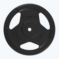 XTREXO Gusseisen Gewicht TRX-ICP025 25 kg Chrom 3