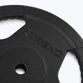 XTREXO Gusseisen Gewicht TRX-ICP025 25 kg Chrom 4