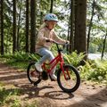 Kinderfahrrad ATTABO EASE 16" rot 3