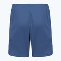 Kindershorts 4F The Gym Power FNK M1388 navy 2