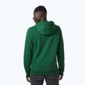 Herren-Trekking-Sweatshirt Helly Hansen F2F Organic Cotton Hoodie malachite 2
