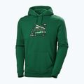 Herren-Trekking-Sweatshirt Helly Hansen F2F Organic Cotton Hoodie malachite 4