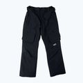 Snowboardhose Herren Colourwear Flight black 8