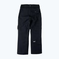 Snowboardhose Herren Colourwear Flight black 9