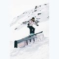Snowboardhose Herren Colourwear Flight black 13
