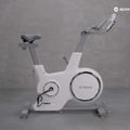 Heimtrainer XTREXO weiß EB-5S 16