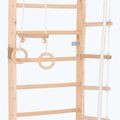 RINAGYM Sport 2 Gymnastikleiter 3