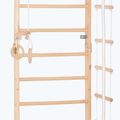 RINAGYM Sport 2 Gymnastikleiter 4