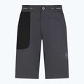 La Sportiva Ecstatic Herren Klettershorts grau N64900999 5