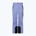 Skihose Herren Oakley Unbound Gore-Tex Shell Pant 2.0 new Lilac 7