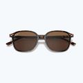 Sonnenbrille Ray-Ban Leonard tortoise/brown polarized 3