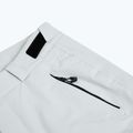 Skihose Herren EA7 Emporio Armani Ski Cortina Toray quiet gray 11