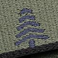 Hosengürtel Arcade Blackwood ivy green/black 5