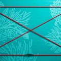 SUP Board Stand up Paddle Board ABSTRACT Coral 10'6'' topaz 3