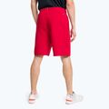 Tommy Hilfiger Herren Graphic Sweatshort rot 3