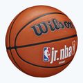 Wilson NBA JR Fam Logo Authentic Outdoor braun Basketball Größe 6 2