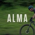 Orbea Alma H50 Mountainbike schwarz 17