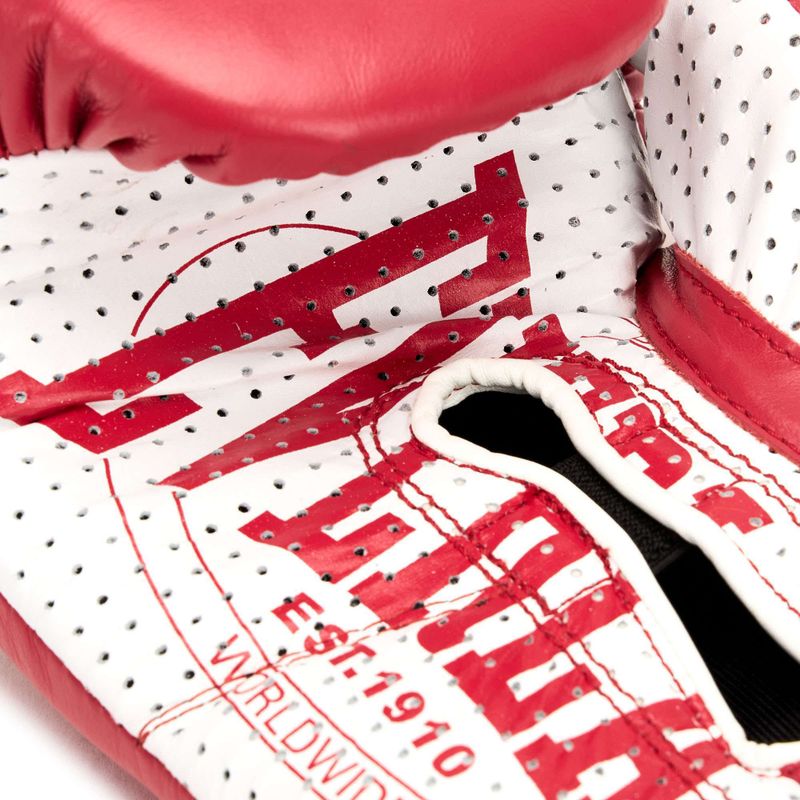 Boxhandschuhe Everlast 1910 Classic Pro red 5