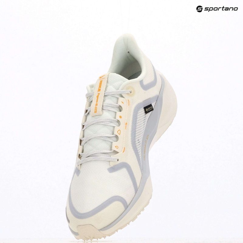 Herren-Laufschuhe Nike Pegasus 41 GTX sail/football grey/sundial/ashen slate 13