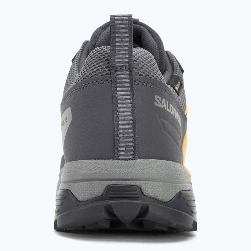 Herren-Trekking-Schuhe Salomon X ULTRA 5 GTX turbulence/monument/spicy mustard 6