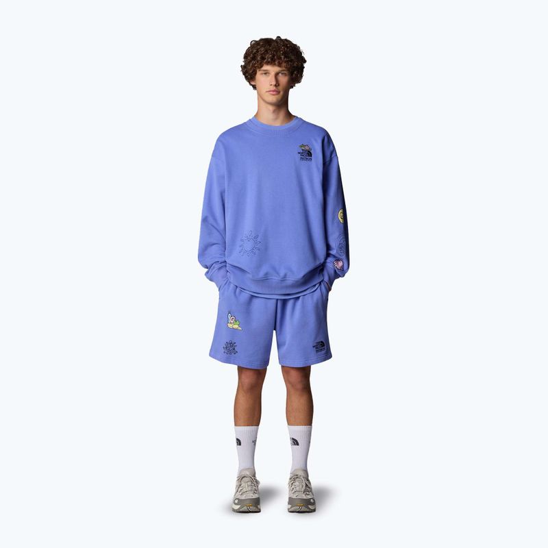 The North Face Mountain Cleanup Entspannt virtuelle blaue Shorts 2