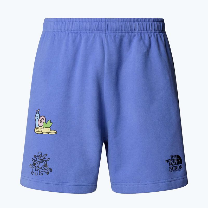 The North Face Mountain Cleanup Entspannt virtuelle blaue Shorts 4