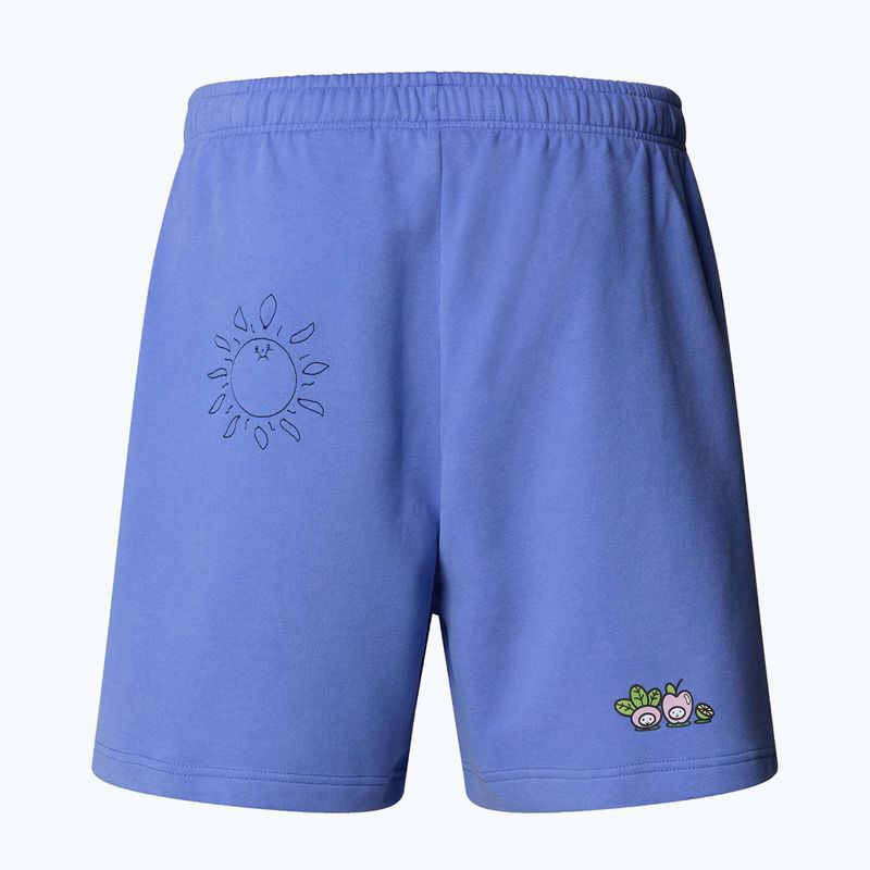 The North Face Mountain Cleanup Entspannt virtuelle blaue Shorts 5